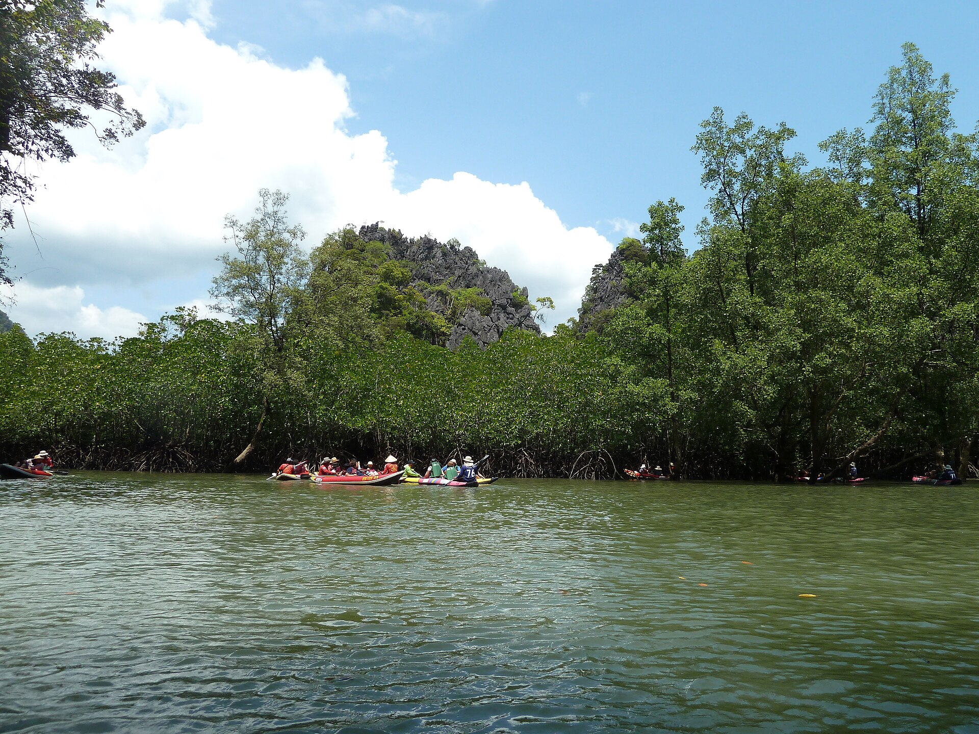 Mangrove channels in Phang Nga
