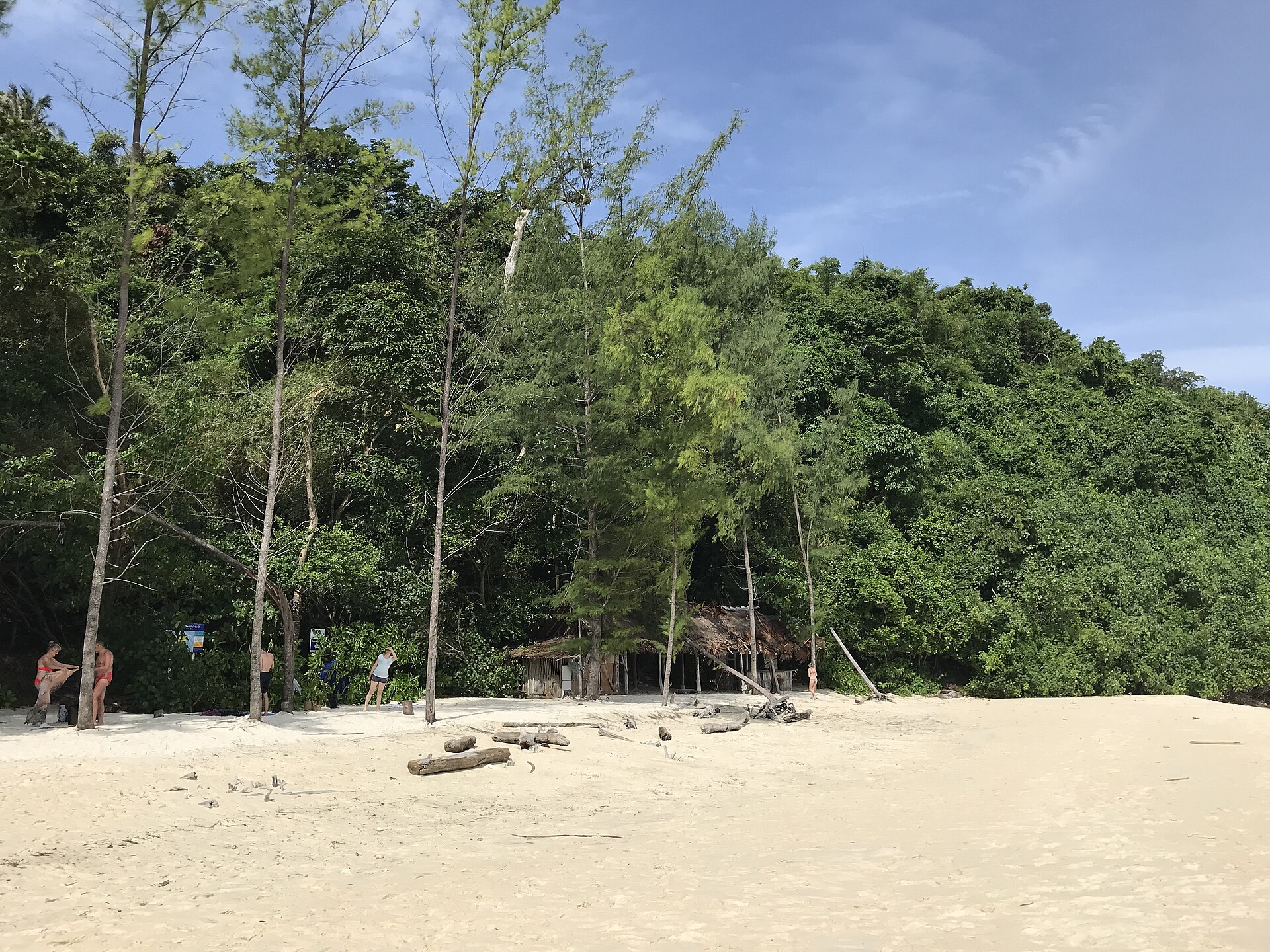 Tree line and shore on Bamboo Island