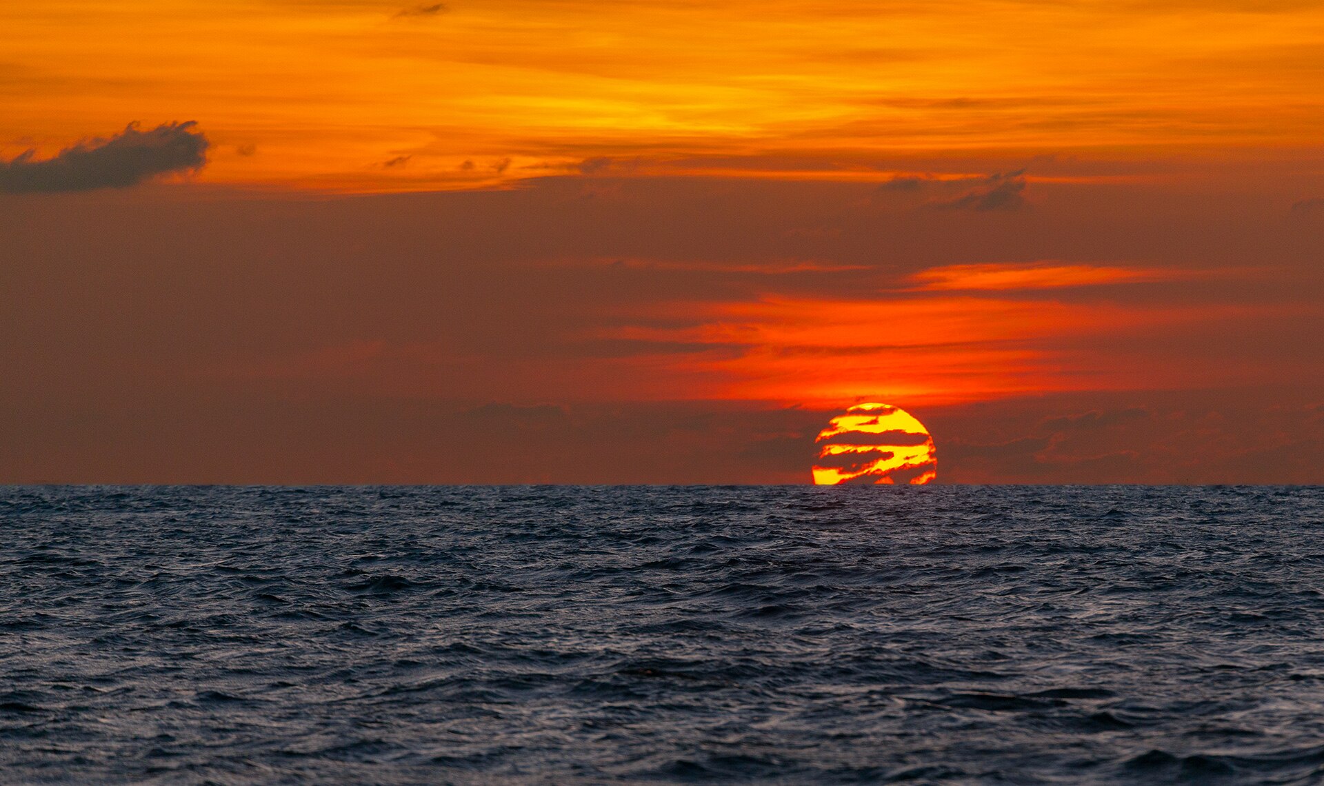 Day Trip to Coral Island