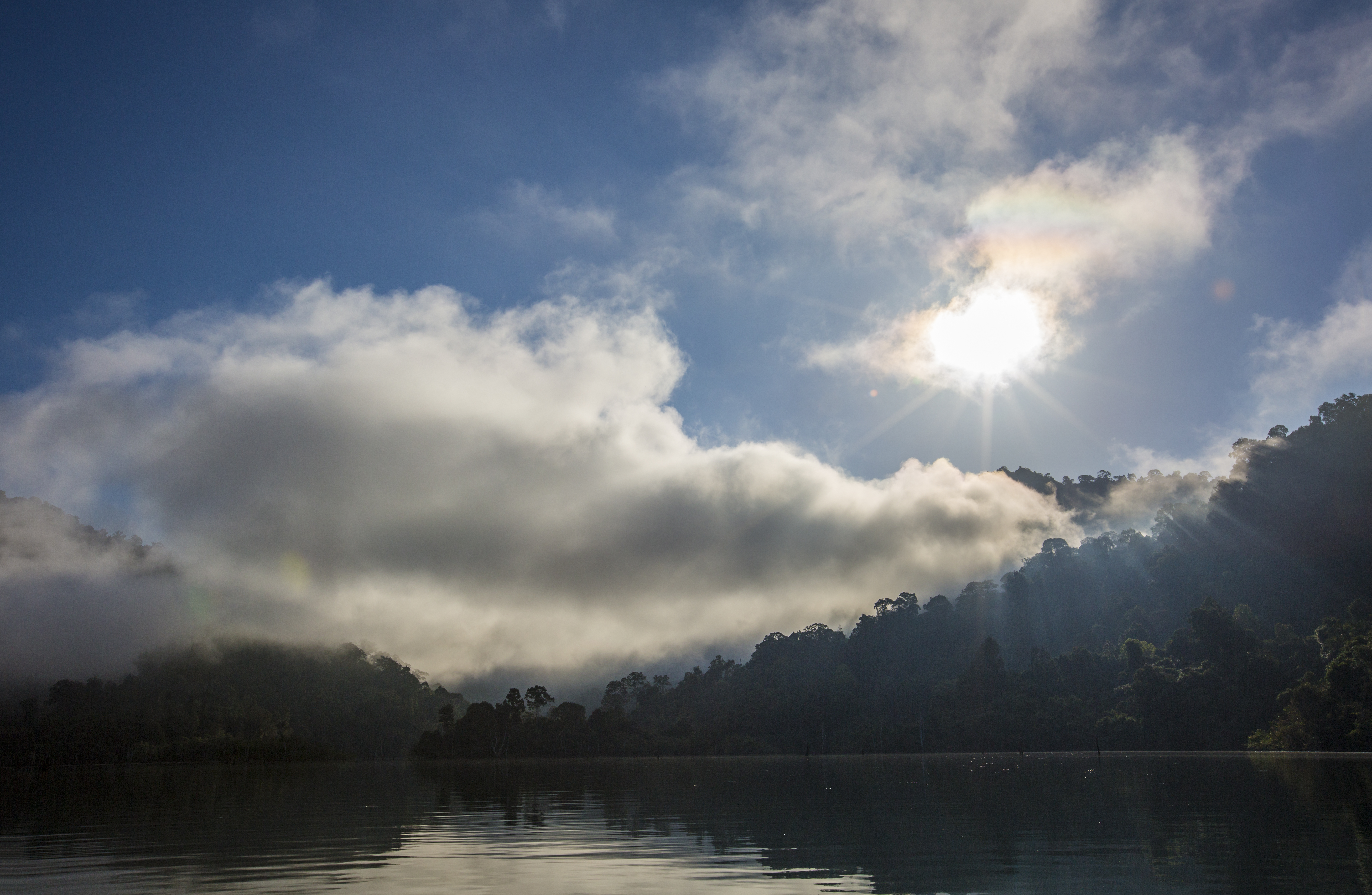 Forest landscape in Khao Sok