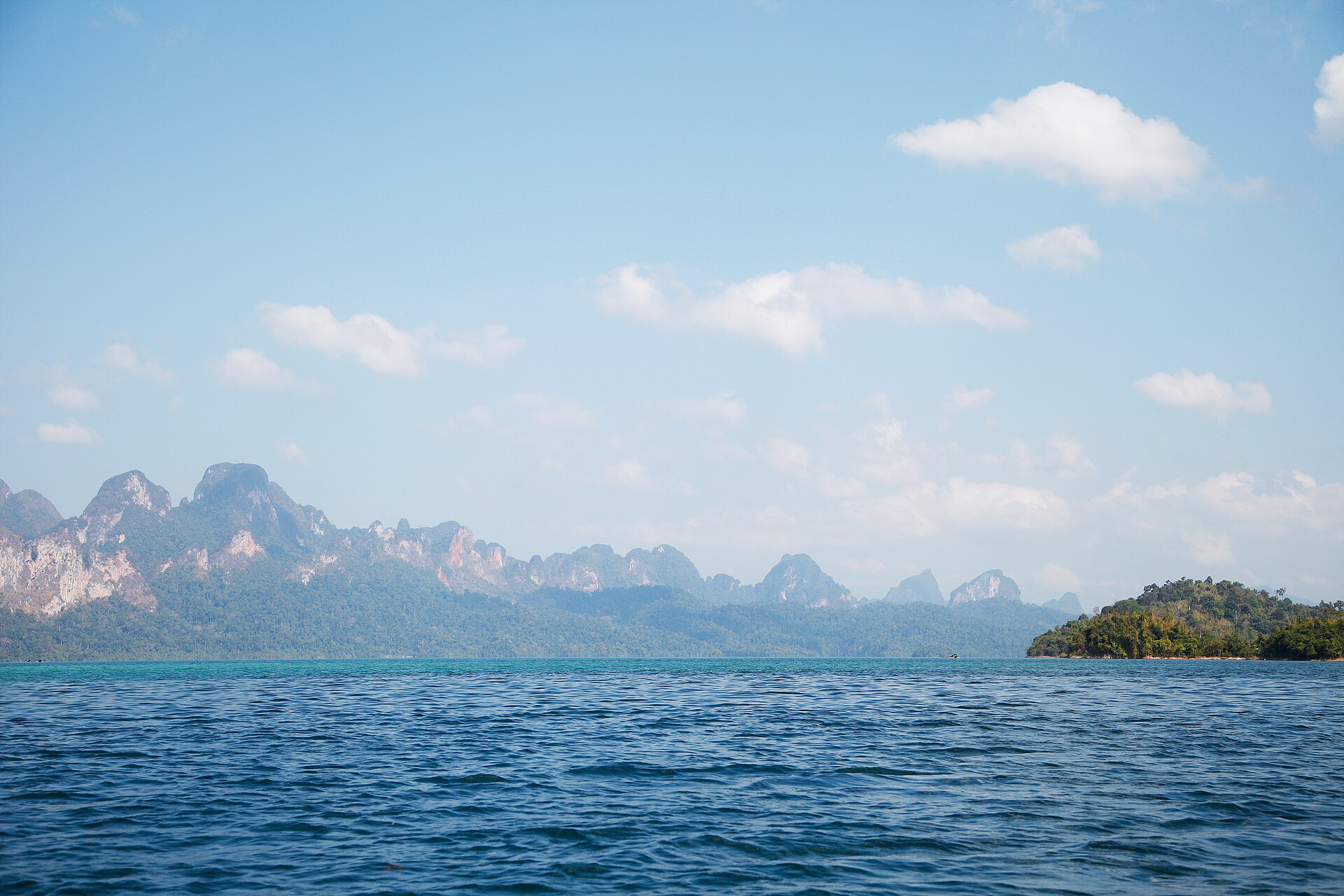 Day Trip to Khao Sok Wildlife Sanctuary