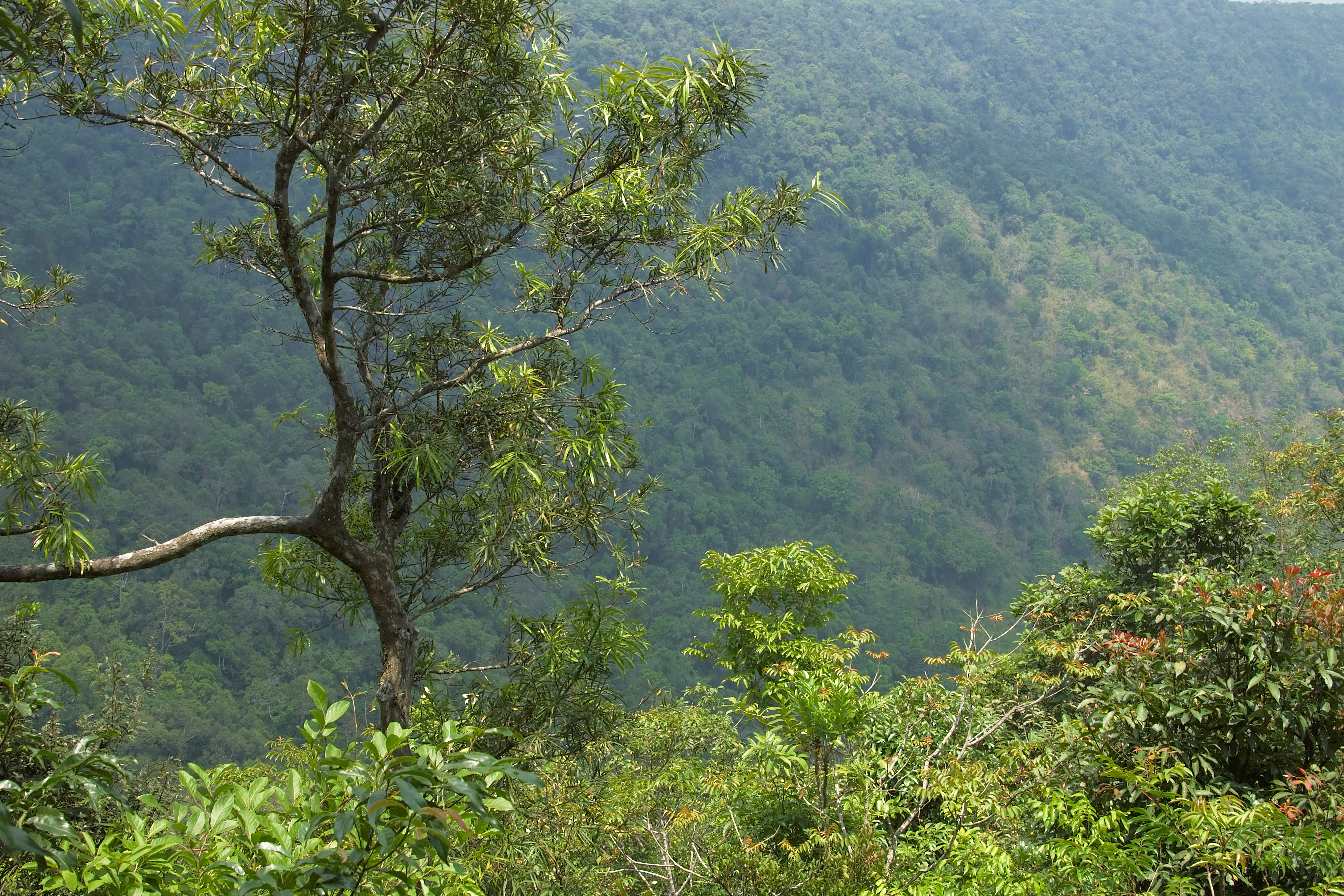 Day Trip to Khao Yai Nature Education Center