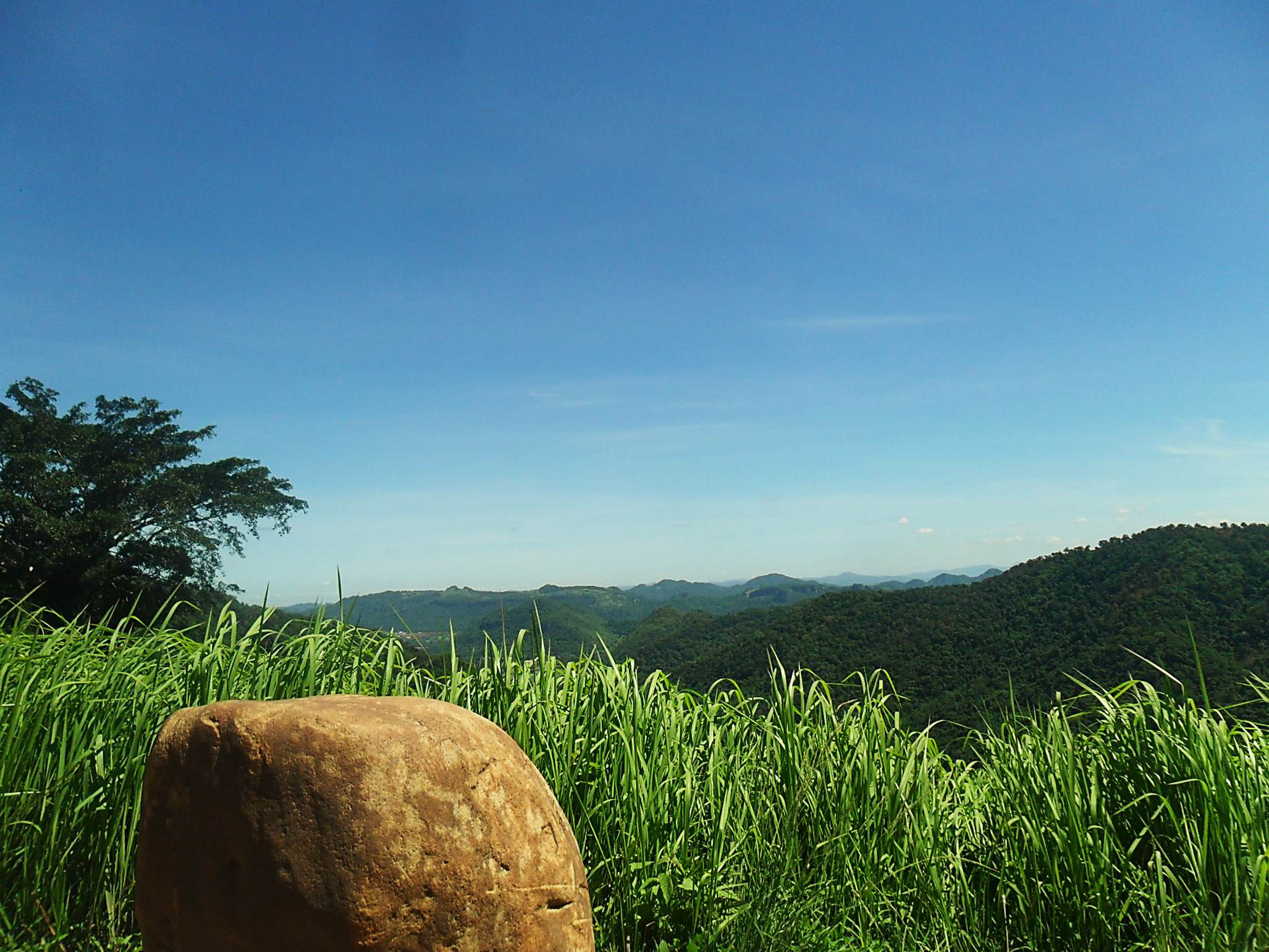 Green field and mountain view in Khao Yai
