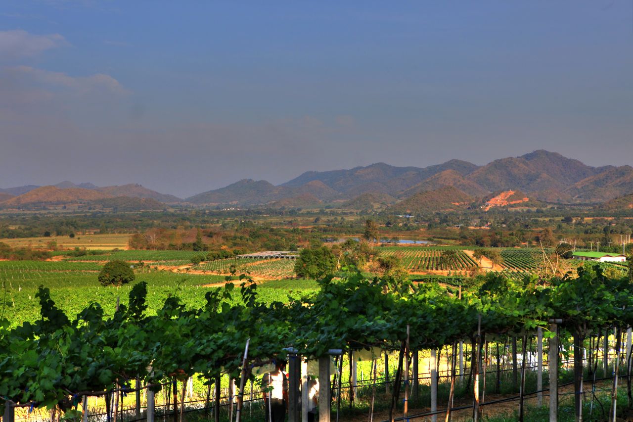 Day Trip to Khao Yai Winery