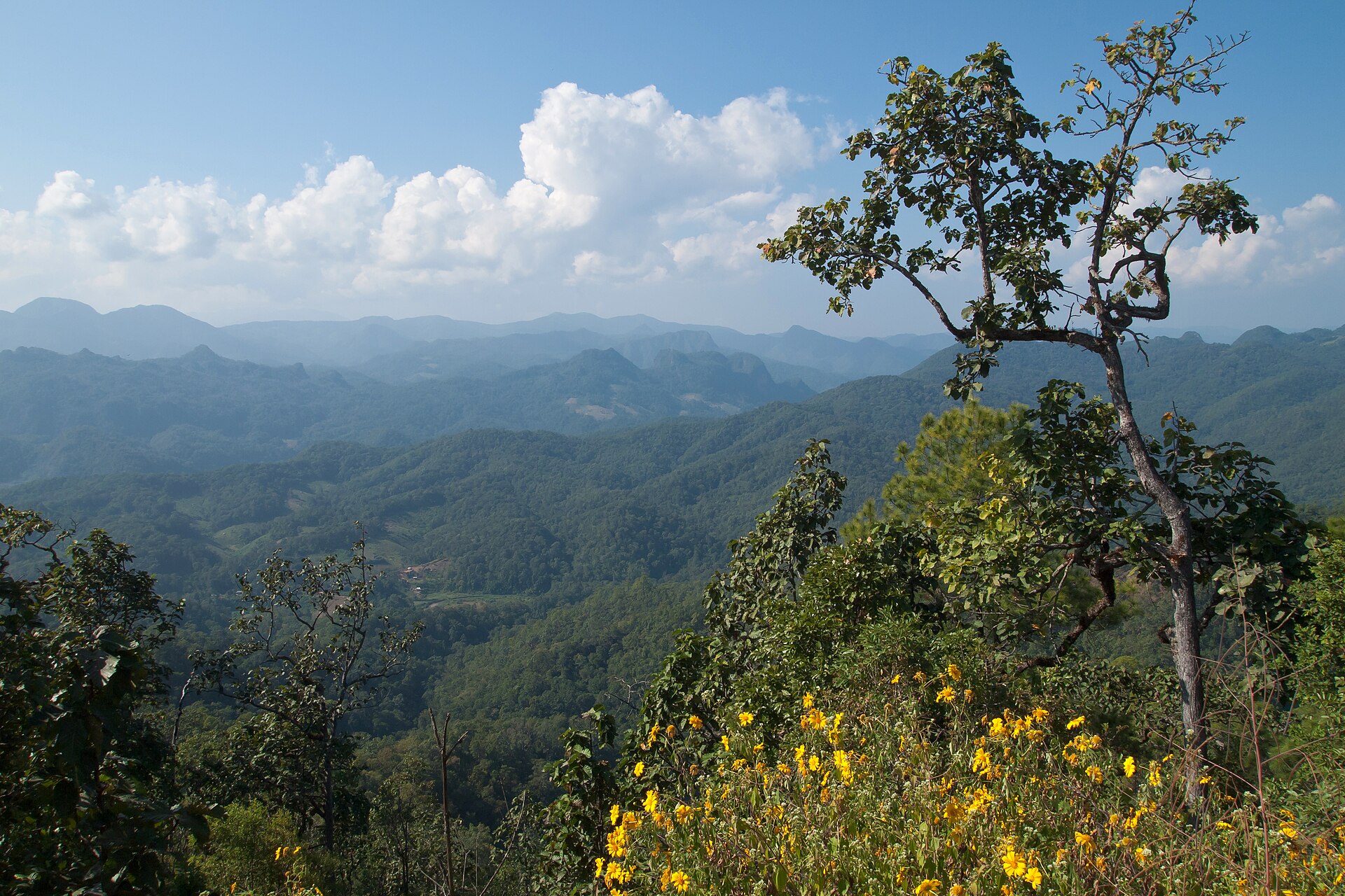 Mountain road in Mae Hong Son