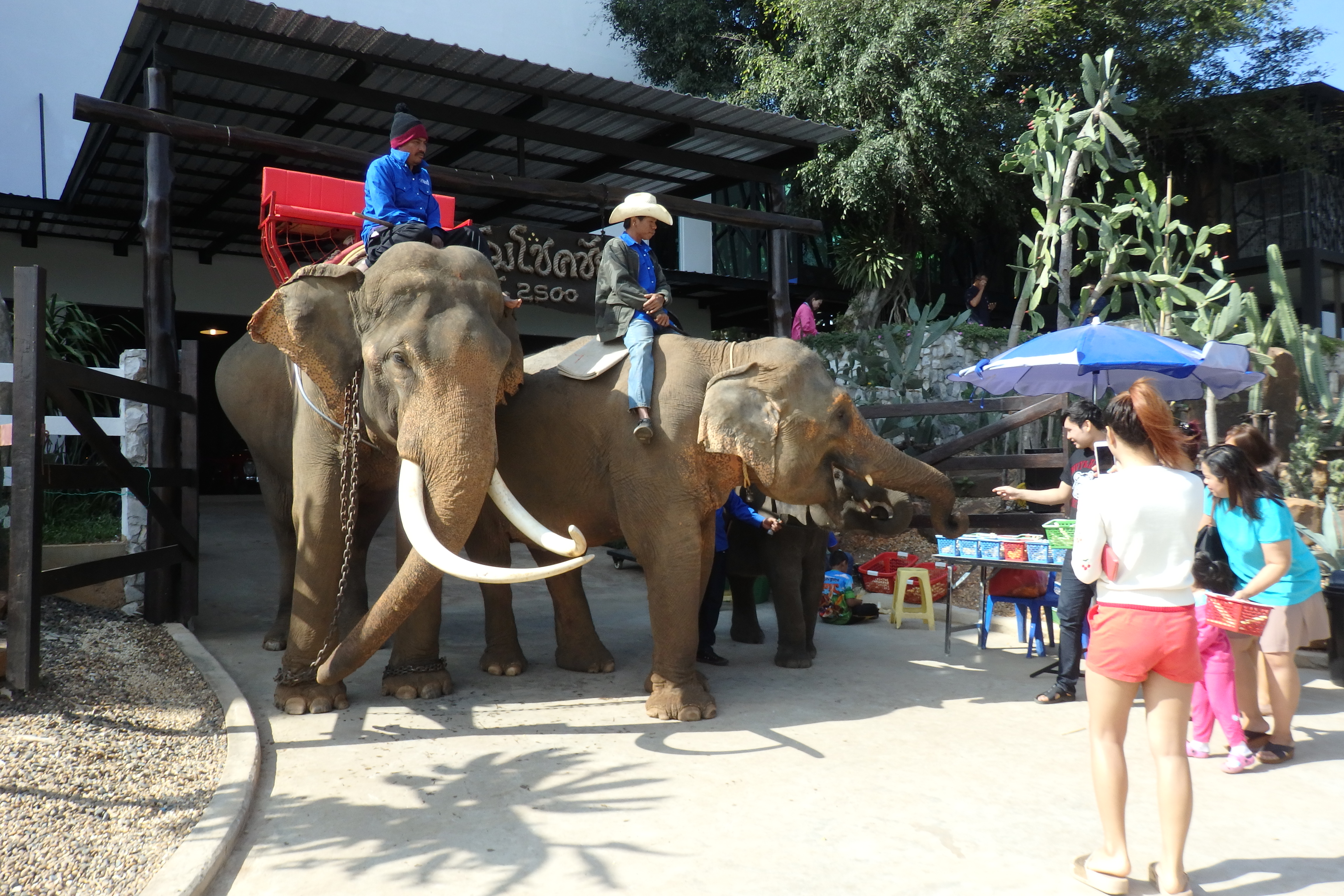 Day Trip to Pak Chong