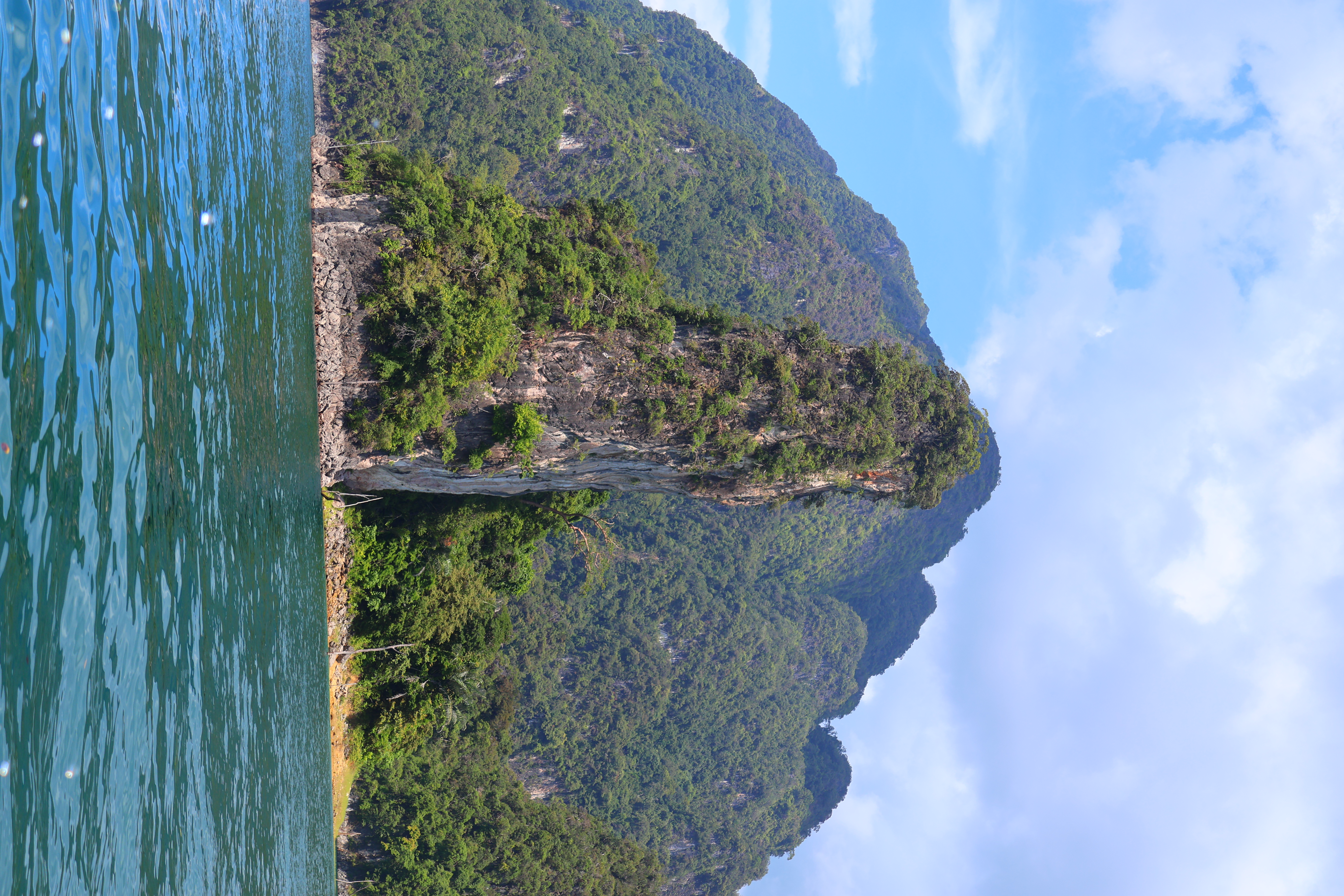 Day Trip to Phi Phi Islands