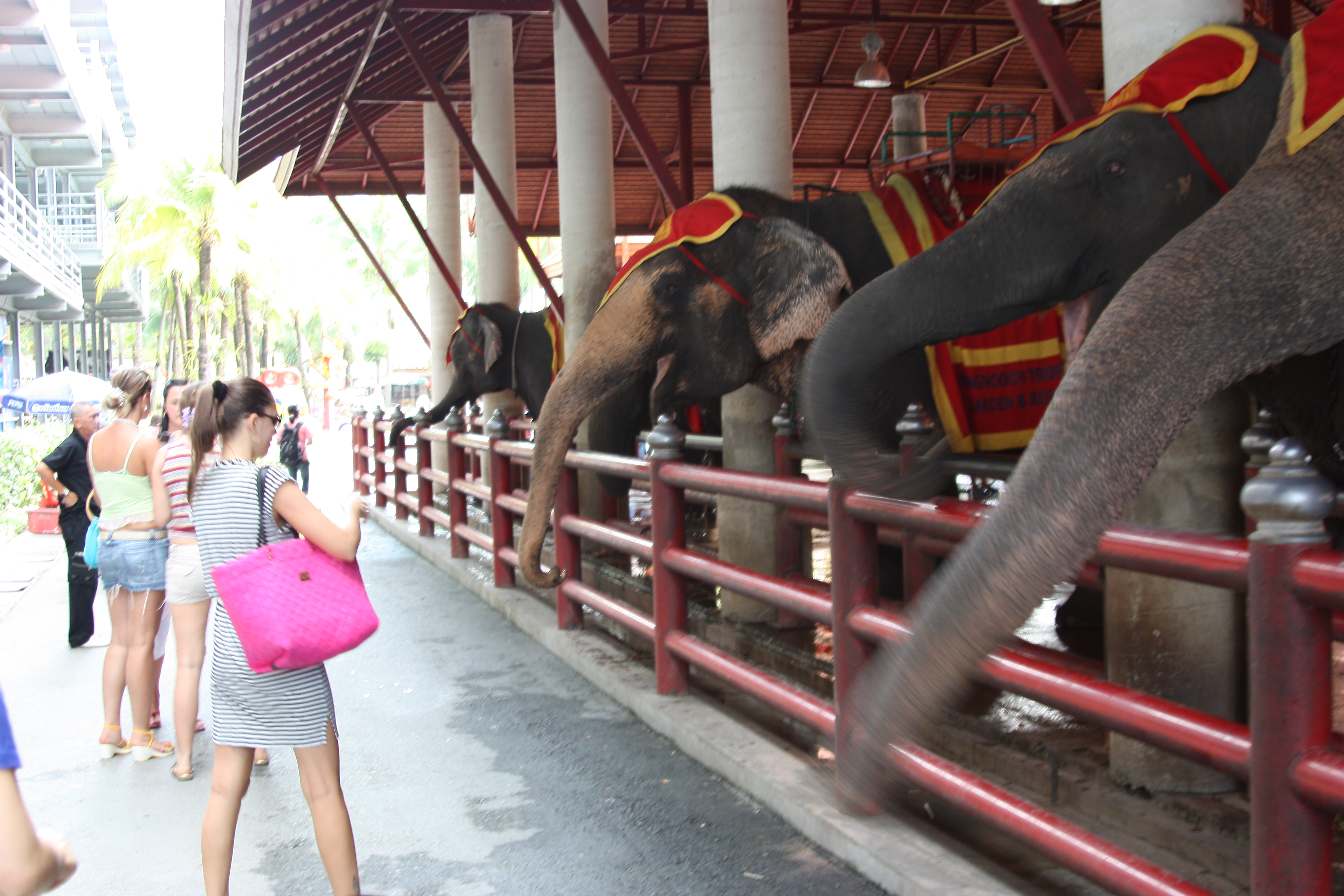 Nong Nooch Tropical Garden