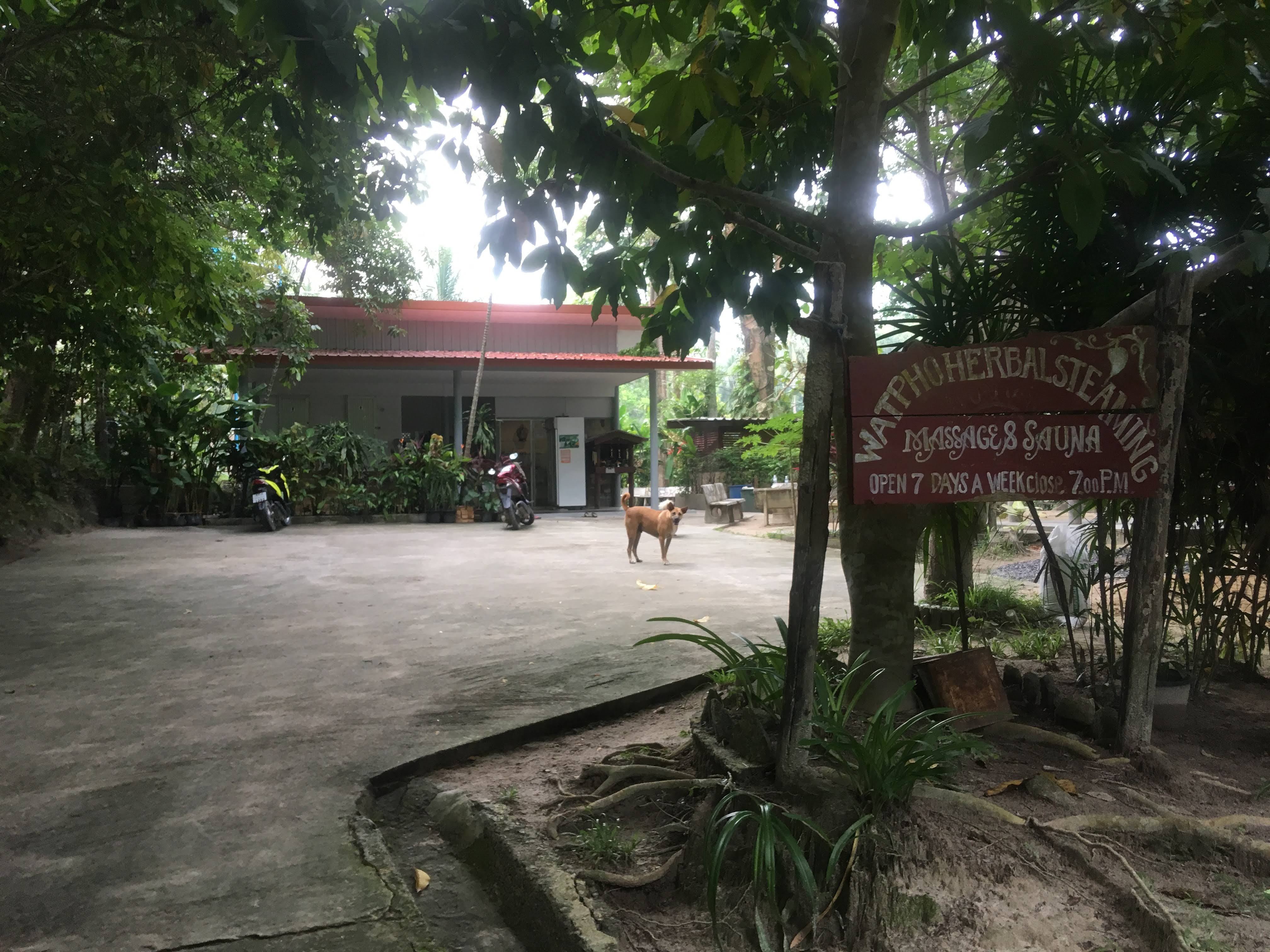 Herbal steam treatment in Thailand