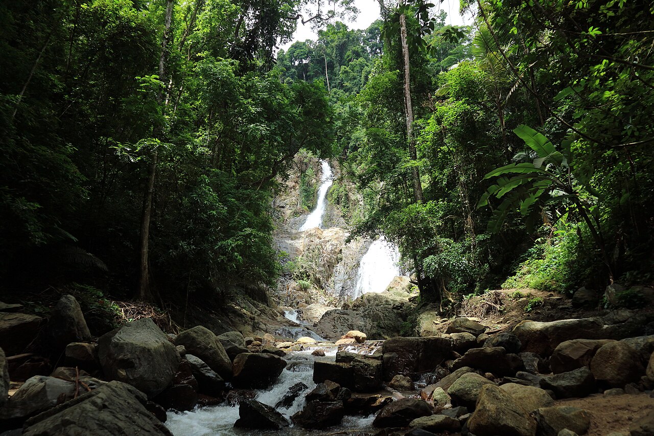 Eco-Tourism in Krabi: Nature at Its Best