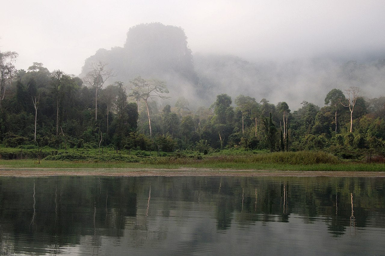 Khao Sok: Experience Thailand's Pristine Nature